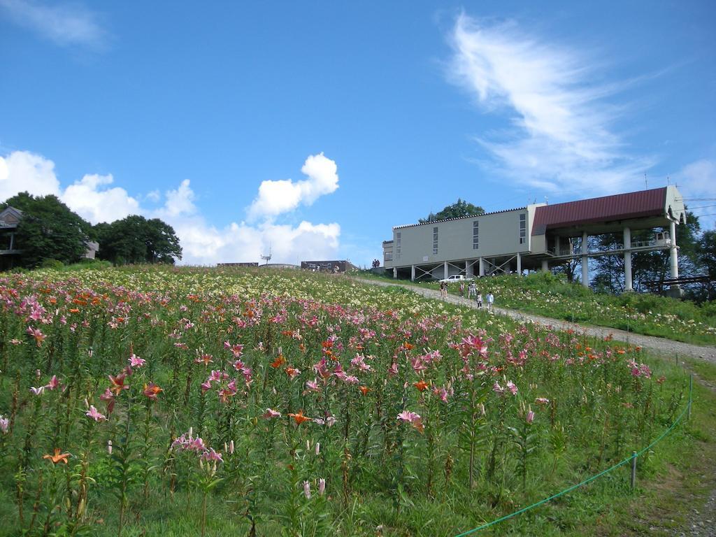 Villa Komakusa Hakuba Zewnętrze zdjęcie